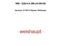WM - G30/4-A ZM-LN DN100