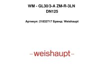 WM - GL30/3-A ZM-R-3LN DN125