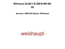 Газодизельная горелка Weishaupt WKmono-GL80/1-B ZM-R-NR DN 65