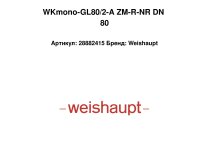 WKmono-GL80/2-A ZM-R-NR DN 80