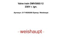 Valve train DMV5065/12 230V r. ign.