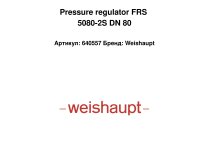 Pressure regulator FRS 5080-2S DN 80