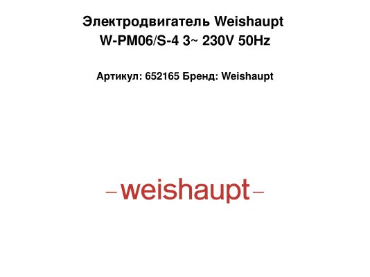 Электродвигатель Weishaupt W-PM06/S-4 3~ 230V 50Hz