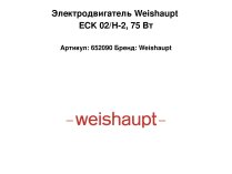 Электродвигатель Weishaupt ECK 02/H-2, 75 Вт