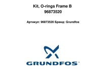 Kit, O-rings Frame B 96873520