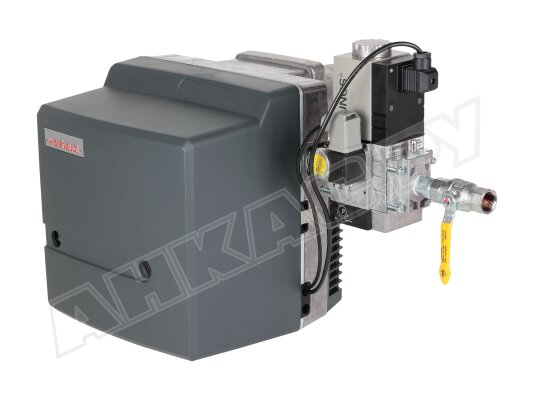 Газовая горелка Weishaupt WG10N/0-D, 1/2, исп. ZM-LN, арт: 23213614