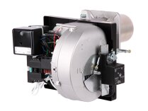 Газовая горелка RUF 40 GS20D TC MB-DLE 407, арт: RU20190875-RU3970531.