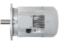 Электродвигатель CIB Unigas IMM 132 SB2 Y2 IM308, арт: 2180206P.